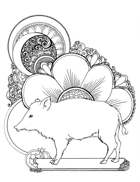 Year of the Earth Pig by Kathy Nutt